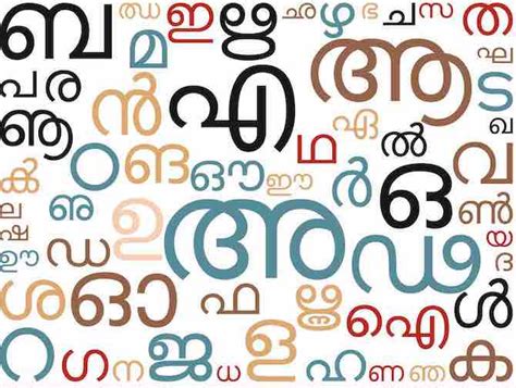 literacy meaning in malayalam